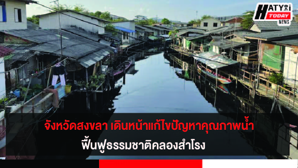 ปกข่าว 01