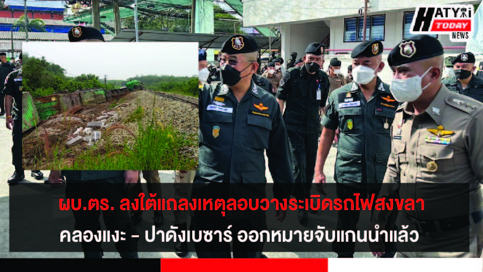 ปกข่าว 01