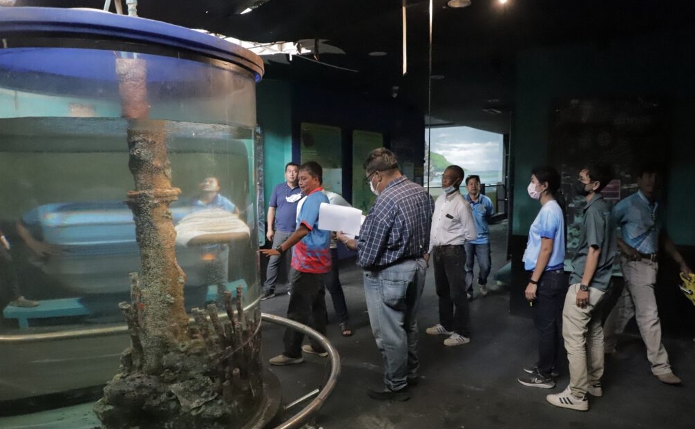นายกฯ เทศบาลสงขลา เตรียมฟื้นฟู สงขลาอควาเรียม เป็นศูนย์รวมแห่งการเรียนรู้แสดงพันธุ์สัตว์น้ำอีกครั้ง 3 1677372392567