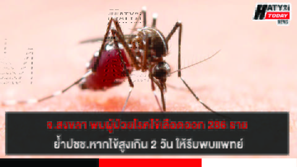 จ.สงขลา พบผู้ป่วยโรคไข้เลือดออก 286 ราย ย้ำปชช.หากไข้สูงเกิน 2 วัน ให้รีบพบแพทย์