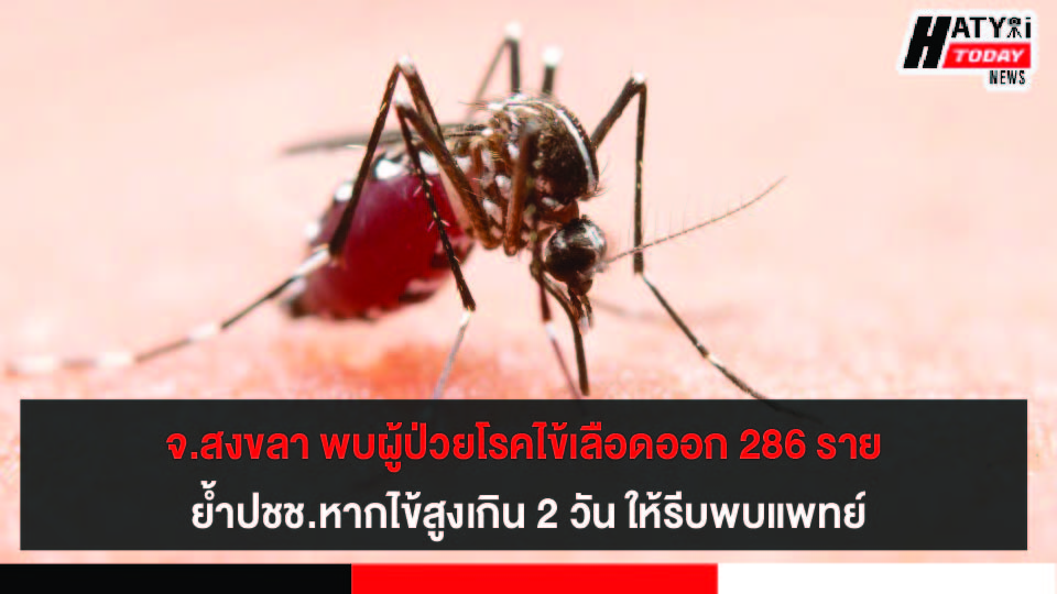 จ.สงขลา พบผู้ป่วยโรคไข้เลือดออก 286 ราย ย้ำปชช.หากไข้สูงเกิน 2 วัน ให้รีบพบแพทย์