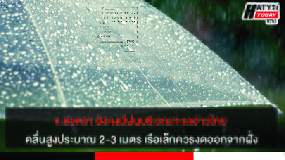 ปกข่าว 01