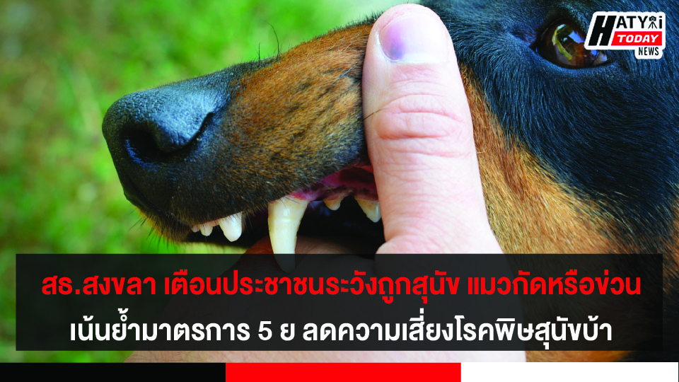 สธ.สงขลา เตือนประชาชนระวังถูกสุนัข แมวกัดหรือข่วน เน้นย้ำมาตรการ 5 ย ลดความเสี่ยงโรคพิษสุนัขบ้า