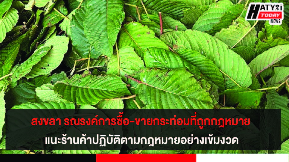 ปกข่าว 01