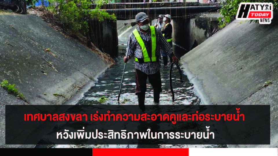 ปกข่าว 01