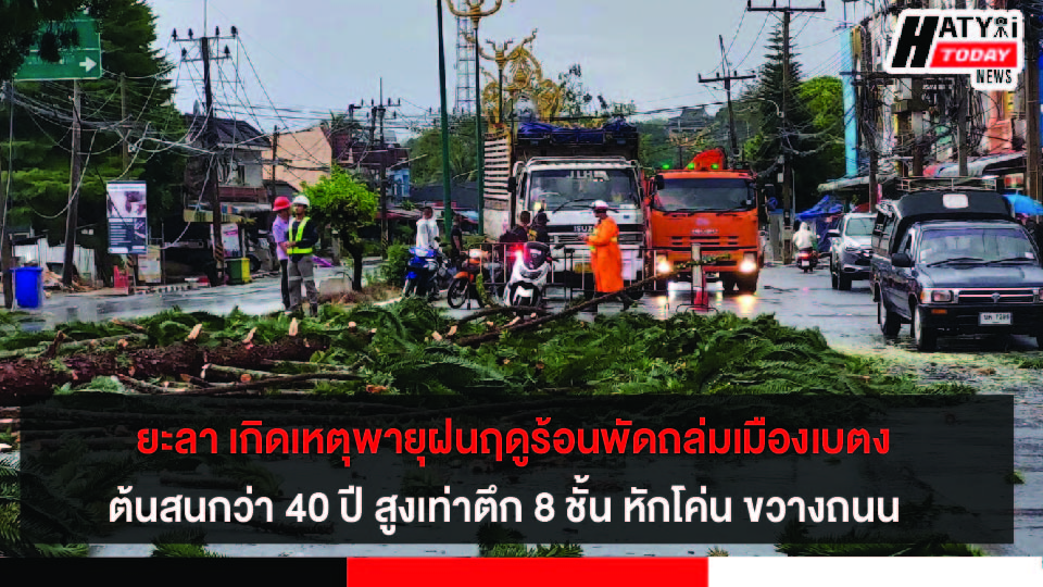 ยะลา เกิดเหตุพายุฝนฤดูร้อนพัดถล่มเมืองเบตง ต้นสนกว่า 40 ปี สูงเท่าตึก 8 ชั้น หักโค่น ขวางถนน  โชคดีไม่มีใครได้รับบาดเจ็บ