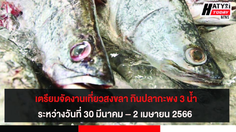 ปกข่าว 01