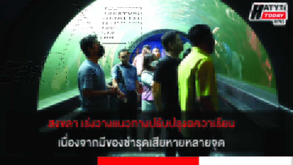 ปกข่าว 01